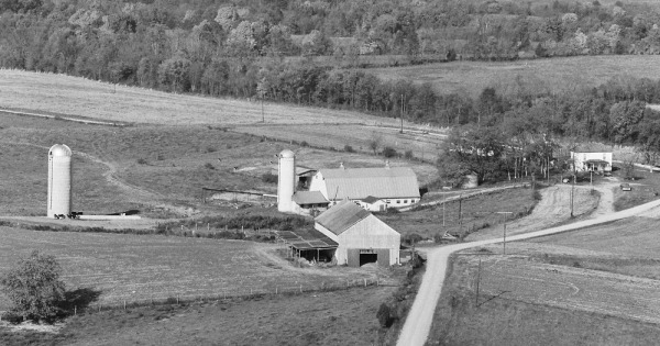 Vintage Aerial photo from 1977 in Nelson County, KY