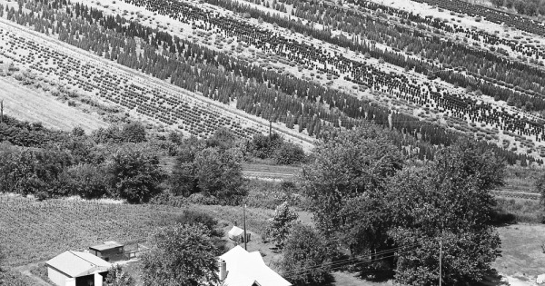 Vintage Aerial photo from 1968 in Madison County, IL
