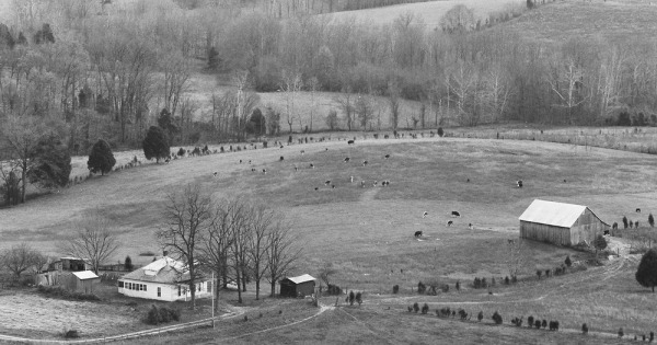 Vintage Aerial photo from 1977 in Barren County, KY