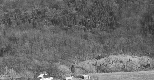 Vintage Aerial photo from 1981 in Owen County, KY