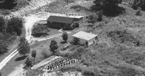 Vintage Aerial photo from 1984 in Warren County, MS
