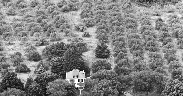 Vintage Aerial photo from 1965 in Rockingham County, NH