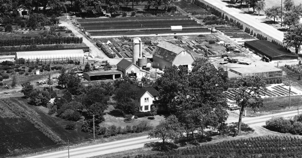 Vintage Aerial photo from 1973 in Lake County, IL