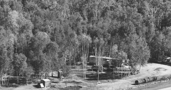 Vintage Aerial photo from 1982 in Pine County, MN