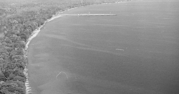 Vintage Aerial photo from 1982 in Iosco County, MI