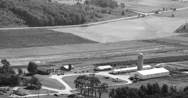 Vintage Aerial photo from 1989 in Leelanau County, MI