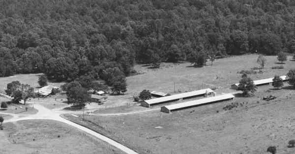 Vintage Aerial photo from 1986 in Shelby County, TX