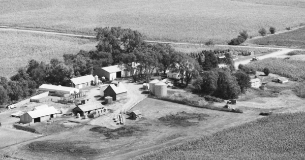 Vintage Aerial photo from 1984 in Burt County, NE