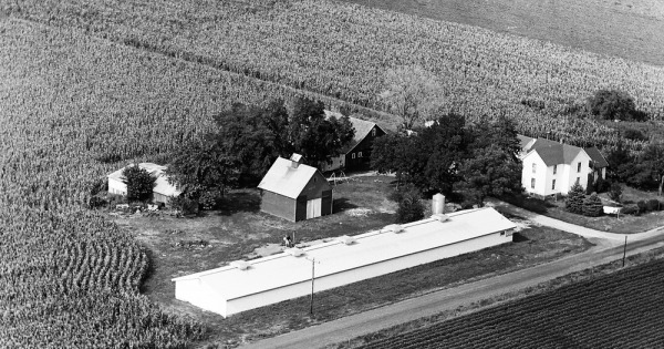 Vintage Aerial photo from 1966 in Champaign County, IL