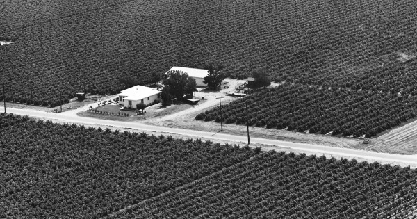 Vintage Aerial photo from 1965 in Fresno County, CA
