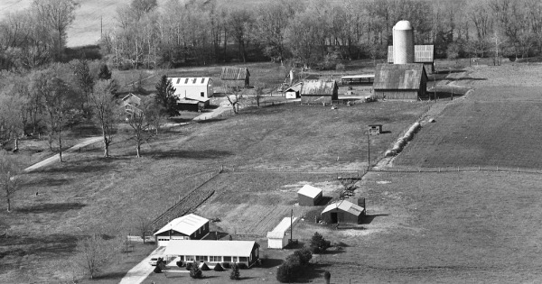 Vintage Aerial photo from 1982 in Larue County, KY