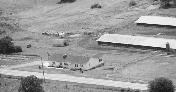 Vintage Aerial photo from 1986 in Yell County, AR