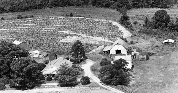Vintage Aerial photo from 1965 in Wake County, NC