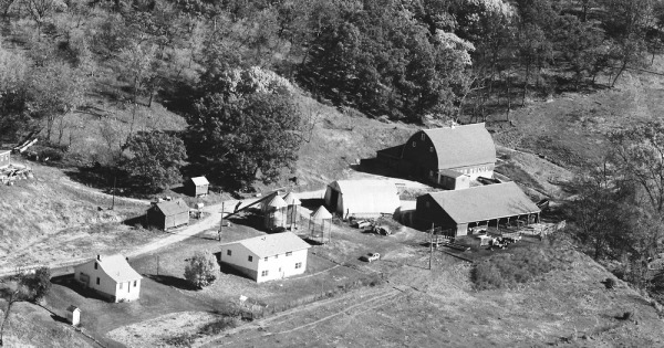 Vintage Aerial photo from 1980 in Jo Daviess County, IL
